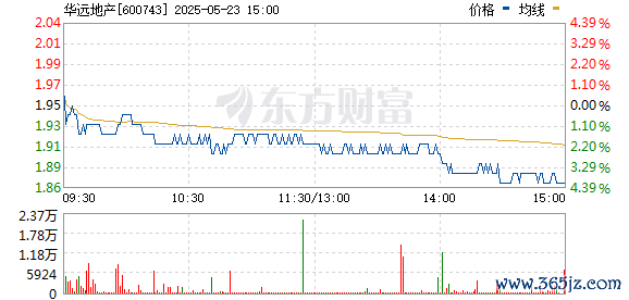R图 600743_0