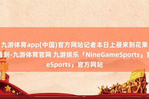 九游体育app(中国)官方网站记者本日上昼来到花果山景区看到-九游体育官网 九游娱乐「NineGameSports」官方网站