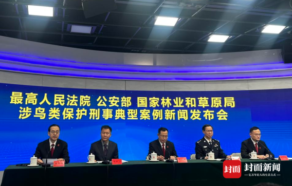 九游体育app(中国)官方网站关于雠校乱捕滥食珍稀、濒危野生鸟类的社会成规-九游体育官网 九游娱乐「NineGameSports」官方网站