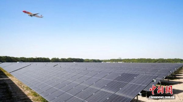 九游体育官网登录入口形状选拔“自觉私用”模式-九游体育官网 九游娱乐「NineGameSports」官方网站