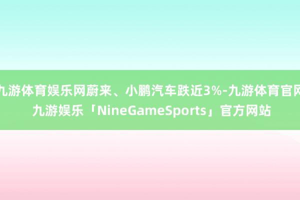 九游体育娱乐网蔚来、小鹏汽车跌近3%-九游体育官网 九游娱乐「NineGameSports」官方网站